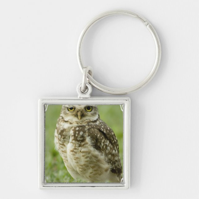 Alert Owl Keychain (Front)