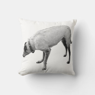 Alert Spirit of Fall Cushion