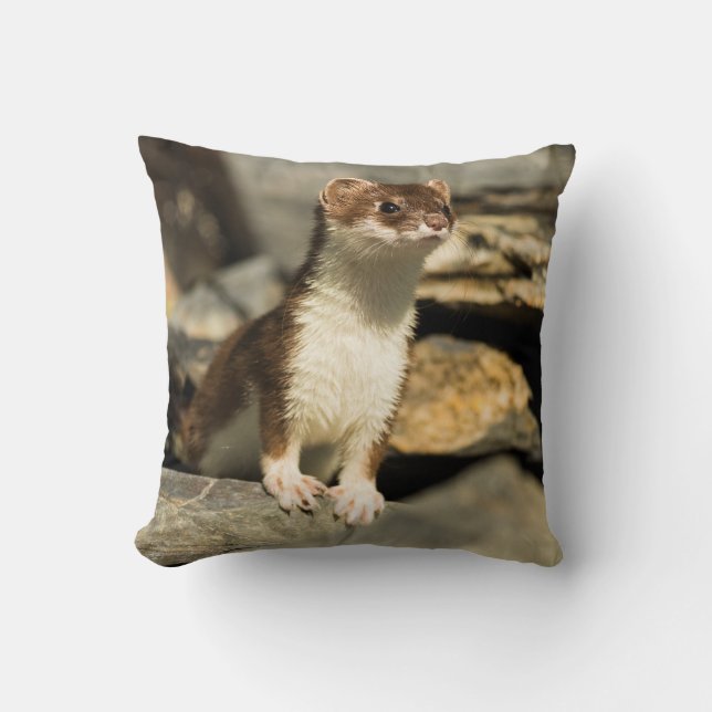Alert Weasel Cushion (Front)