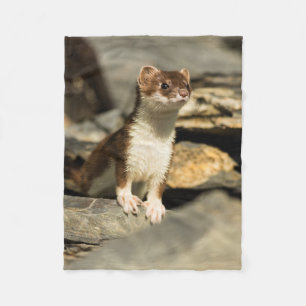 Alert Weasel Fleece Blanket