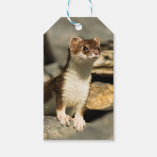 Alert Weasel Gift Tags