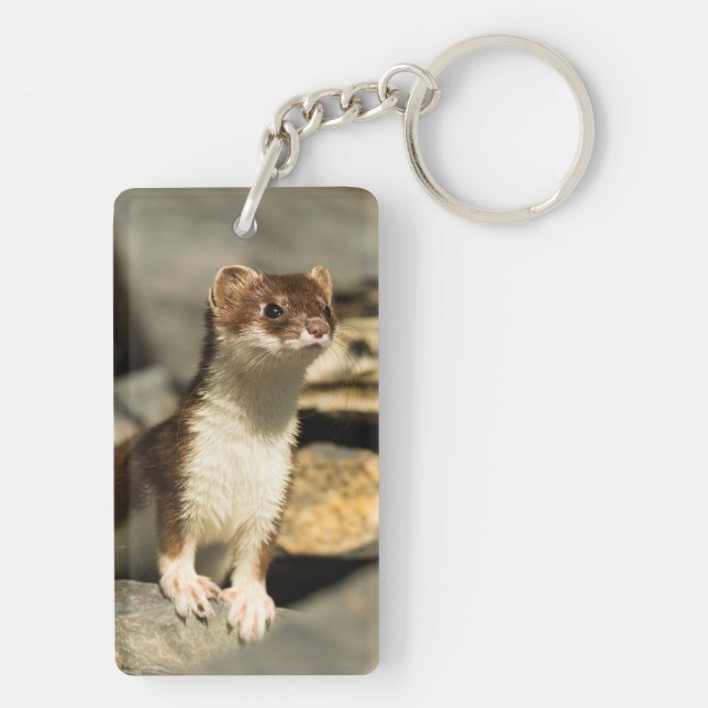 Alert Weasel Key Ring (Back)