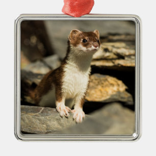 Alert Weasel Metal Tree Decoration