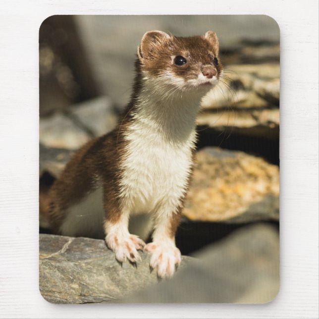Alert Weasel Mouse Mat (Front)