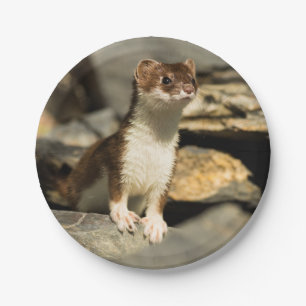 Alert Weasel Paper Plate