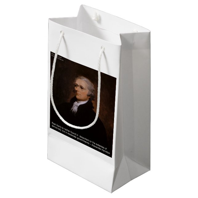 Alexander Hamilton Gifts Small Gift Bag (Front Angled)