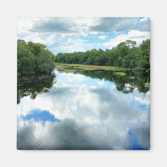 Alexander Spring Creek Magnet (Front)