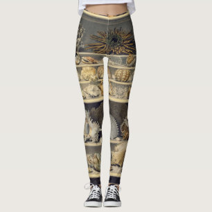 Alexandre Isidore Leroy De Barde - Selection Leggings