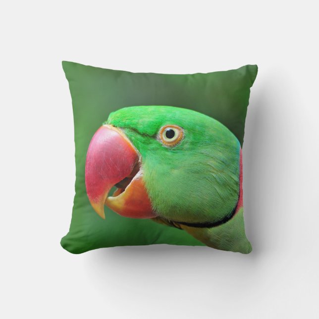 Alexandrine Parakeet Cushion (Front)