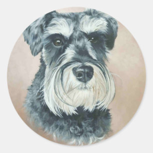 Alfie - miniature schnauzer classic round sticker