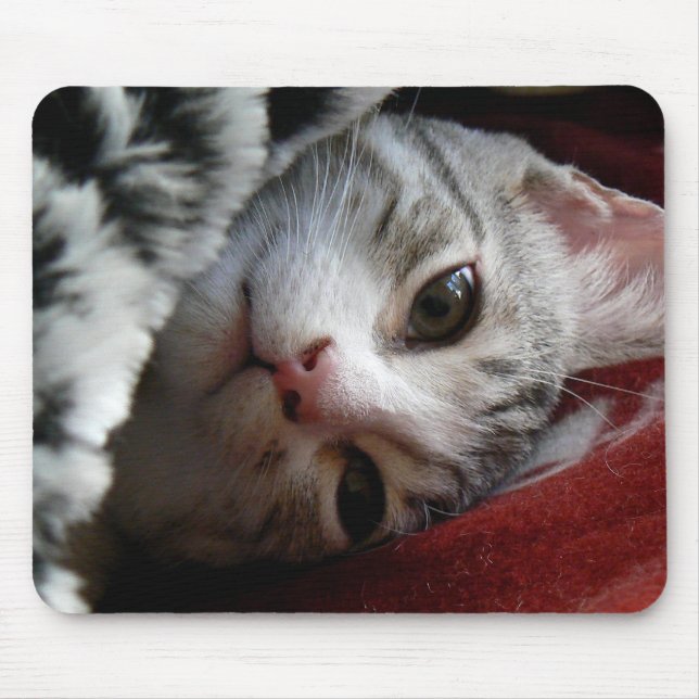 Alfie Mouse Mat (Front)