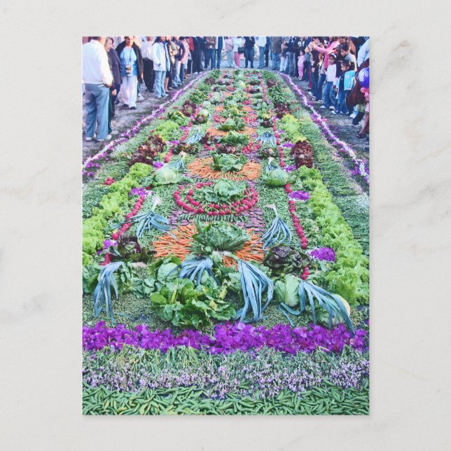 alfombra 16 postcard (Front)