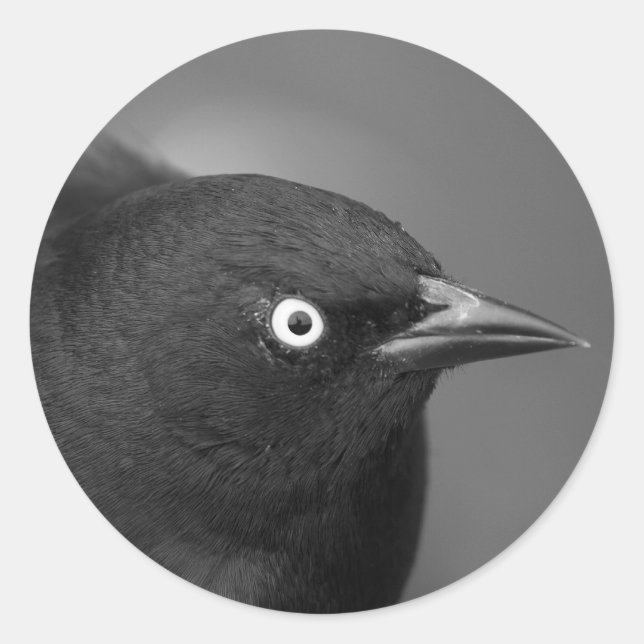 Alfred Hitchcock personage Classic Round Sticker (Front)