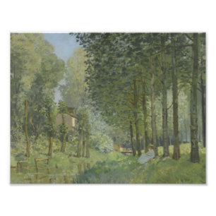Alfred Sisley - Rest along the Stream Photo Print