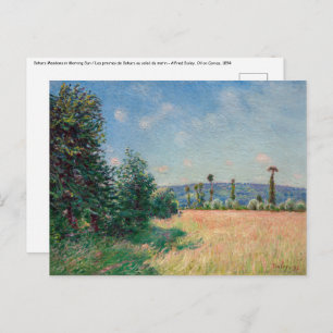Alfred Sisley - Sahurs Meadows in Morning Sun Postcard
