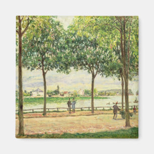 Alfred Sisley Street of Spanish Chestnut Trees Magnet