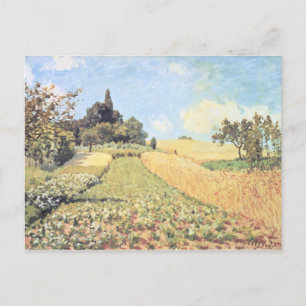Alfred Sisley Wheat Field Postcard