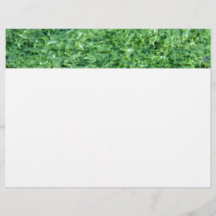 Algae green background