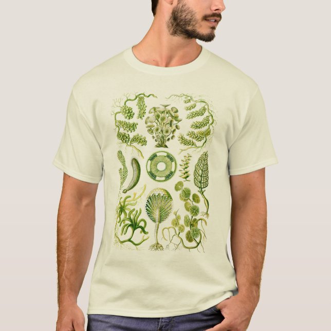 Algae T-Shirt (Front)