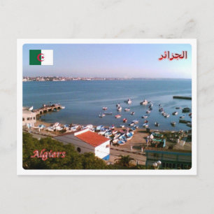 Algeria - Algeri - Postcard