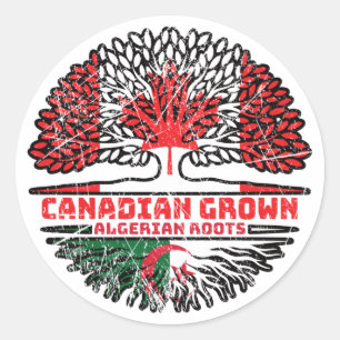 Algeria Algerian Canadian Canada Tree Roots Flag Classic Round Sticker