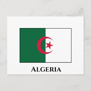 Algeria (Algerian) Flag Postcard