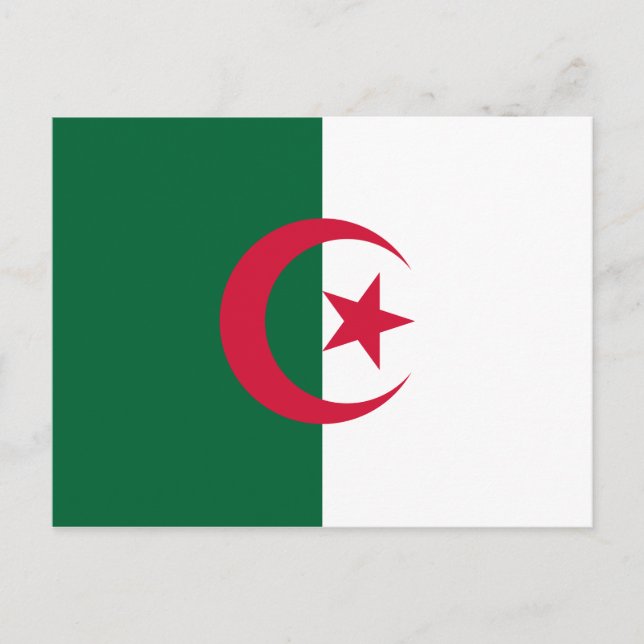 Algeria (Algerian) Flag Postcard (Front)