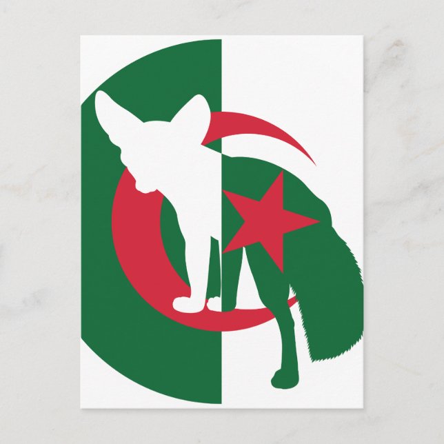 Algeria Fennec Fox Algerian National Animal Flag Postcard (Front)