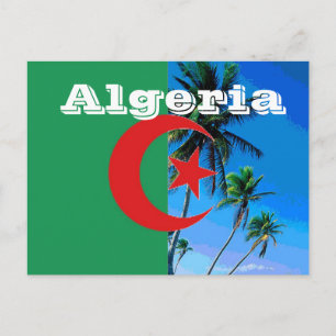 Algeria flag postcard