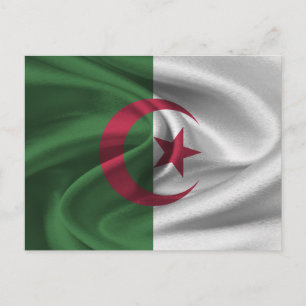 Algeria Flag Postcard