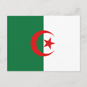 Algeria Flag Postcard