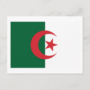 Algeria Flag Postcard