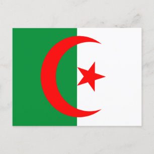 algeria flag postcard