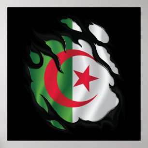 Algeria Ripped Flag Poster