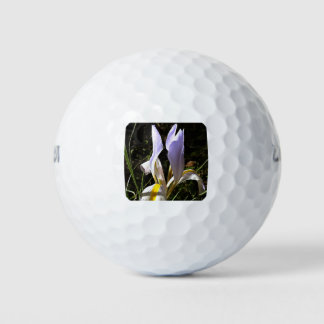 Algerian Iris Hyperrealistic Wildflower Painting Golf Balls