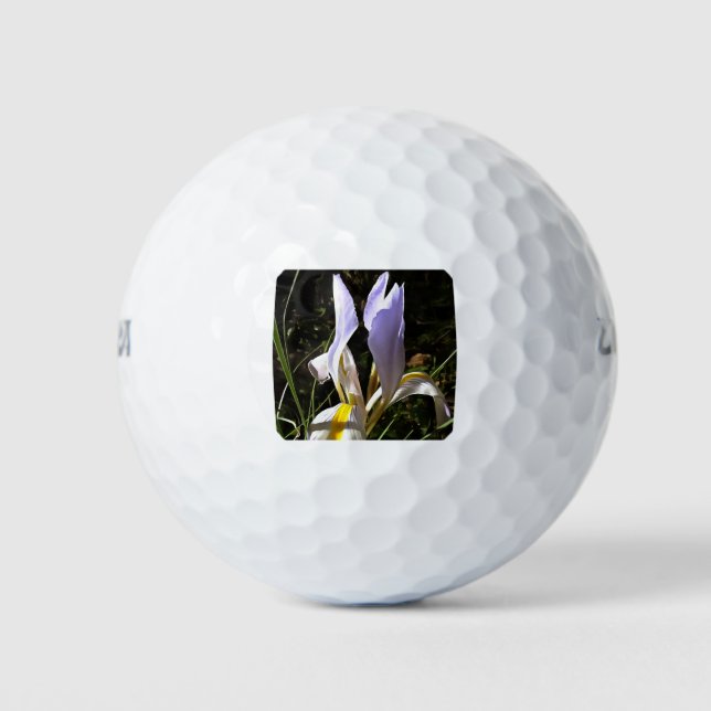Algerian Iris Hyperrealistic Wildflower Painting Golf Balls (Front)