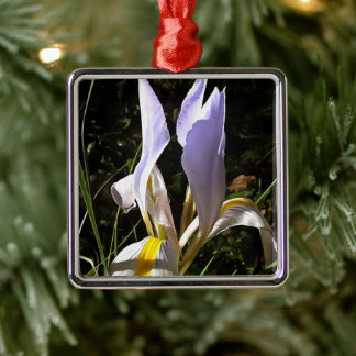 Algerian Iris Hyperrealistic Wildflower Painting Metal Tree Decoration