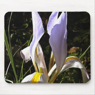 Algerian Iris Hyperrealistic Wildflower Painting Mouse Mat