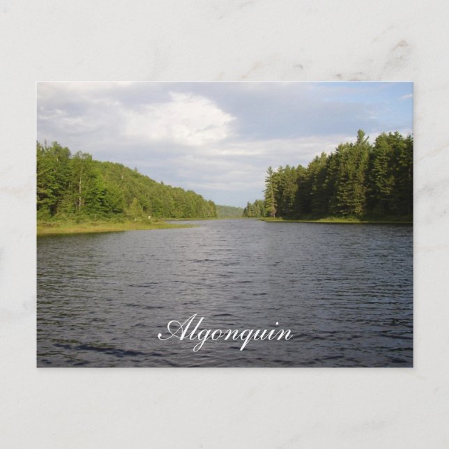 Algonquin Beauty Postcard (Front)