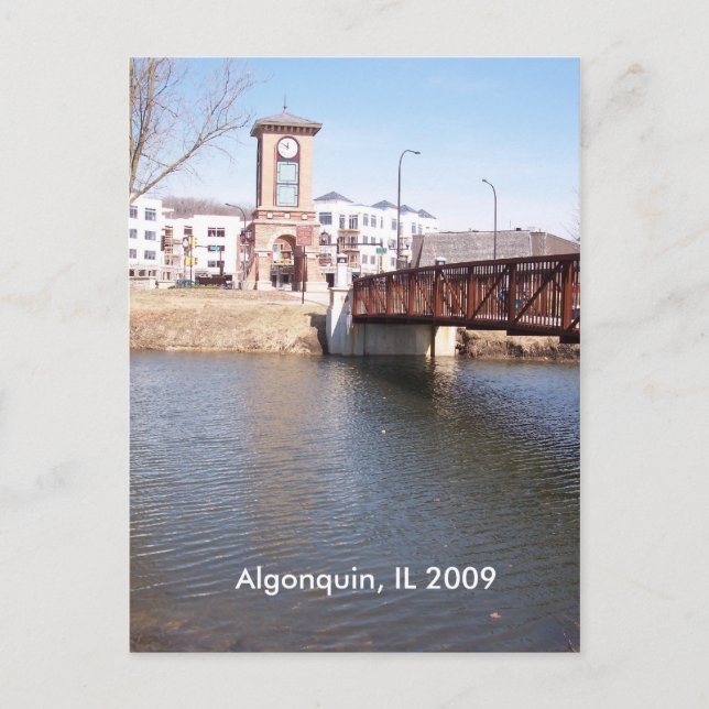 Algonquin Illinois Postcard (Front)