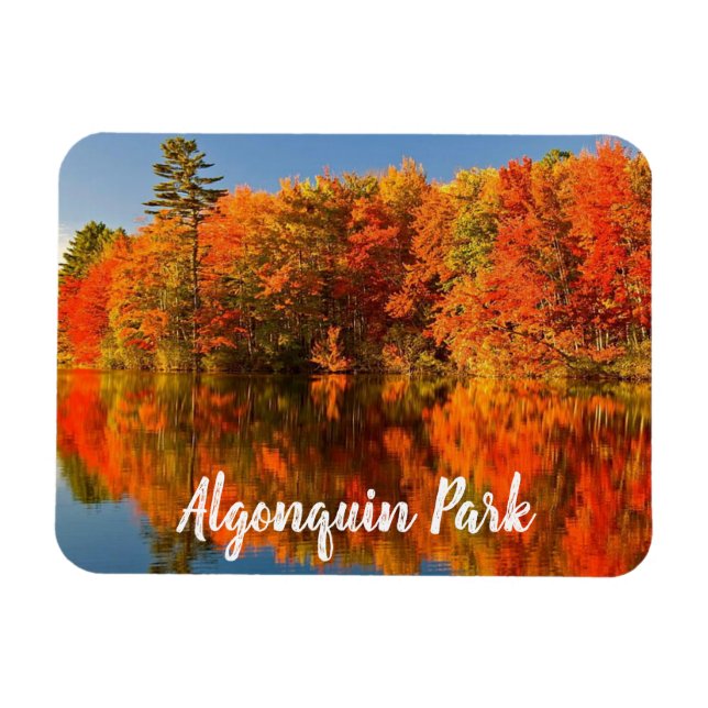 Algonquin Park Canada Fall stylised Magnet (Horizontal)