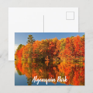 Algonquin Park Canada Fall stylised Postcard