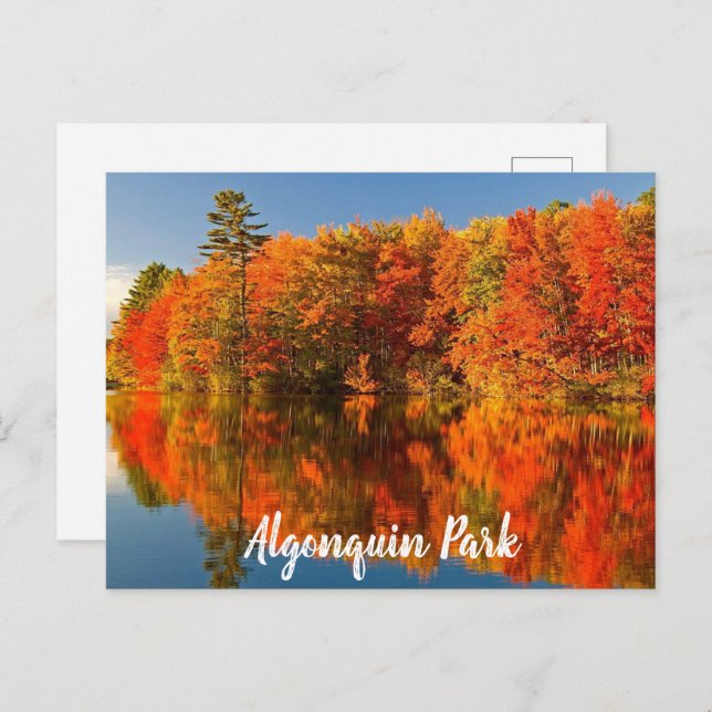 Algonquin Park Canada Fall stylised Postcard (Front/Back)