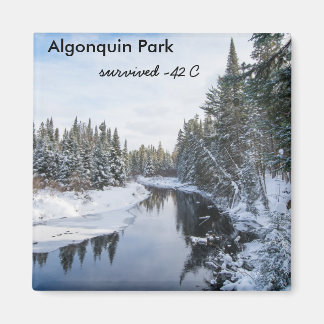 Algonquin Park Magnet