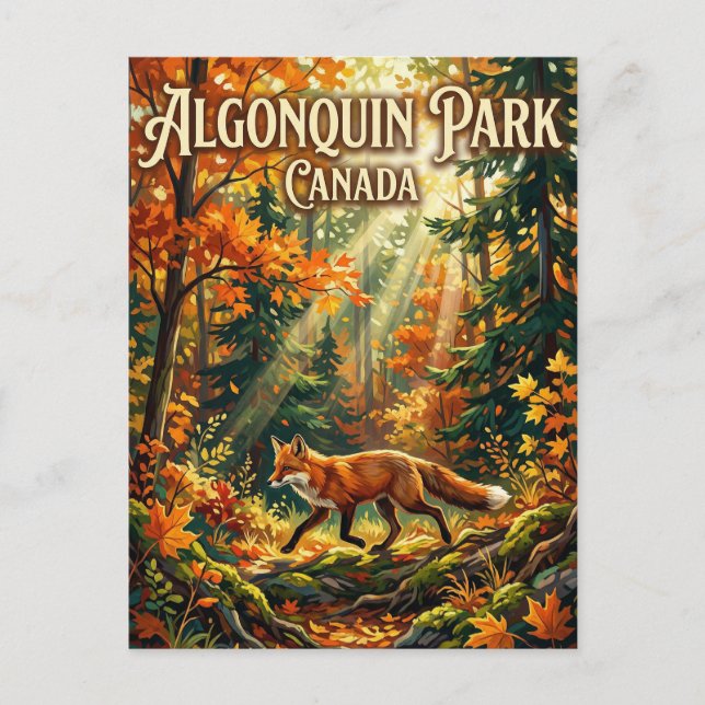 Algonquin Provincial Park Canada Postcard (Front)
