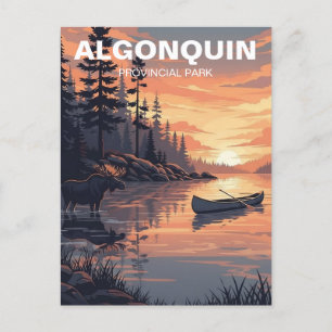 Algonquin Provincial Park Canada Postcard