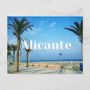 Alicante, Campello Postcard (Spain)