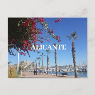 Alicante Postcard