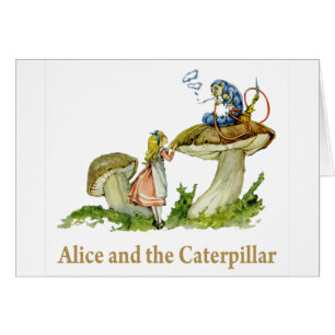 Alice and the Caterpillar