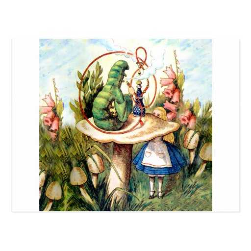 Image of Alice and the Caterpillar in Wonderland Postcard